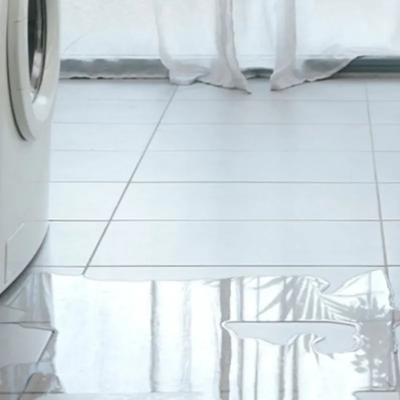 Appliance Leak Cleanup in Holland, MI