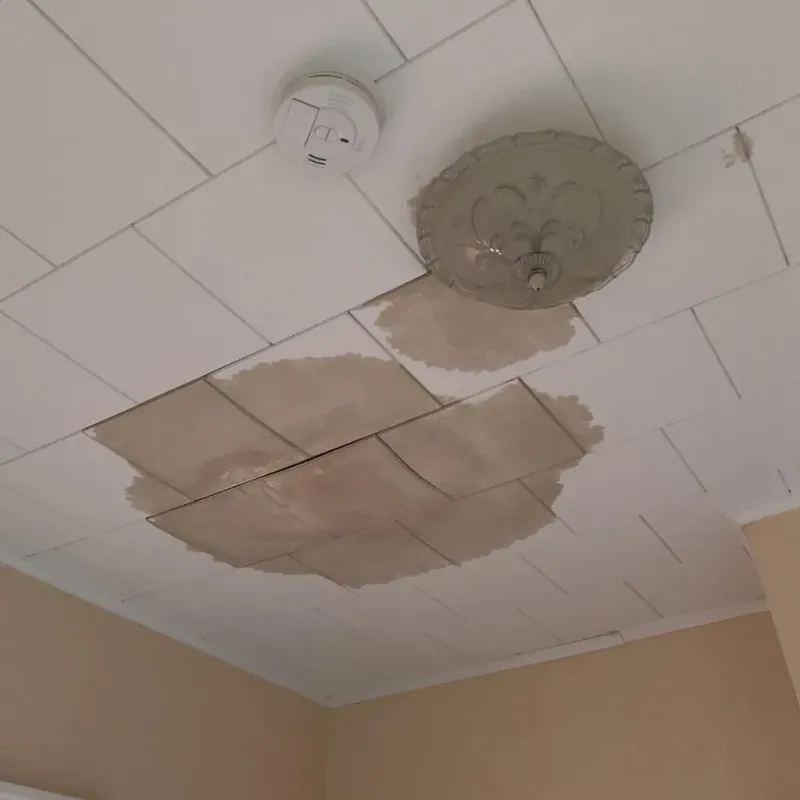 Ceiling Water Damage Repair in Holland, MI