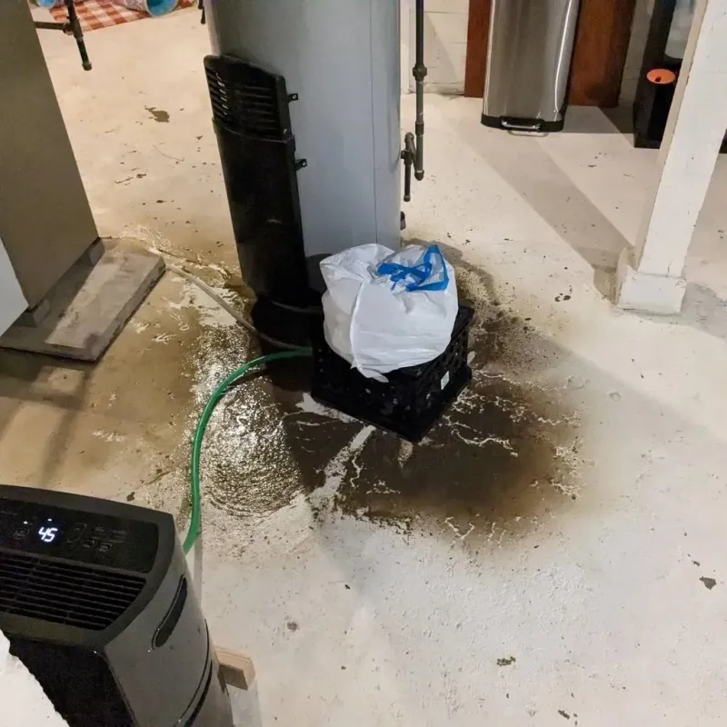 Sewage Backup Cleanup Service in Holland, MI